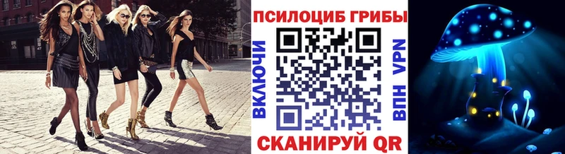 Псилоцибиновые грибы Psilocybine cubensis  Светогорск 